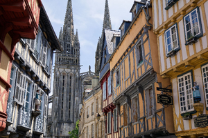 Enlèvement arbre urgence Quimper